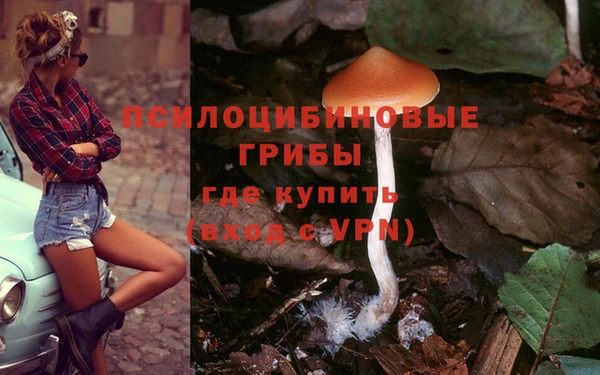 кокаин Алексин