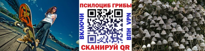 купить наркотик  ОМГ ОМГ ONION  Псилоцибиновые грибы прущие грибы  Тында 