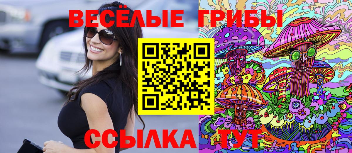 купить   Псилоцибиновые грибы ЛСД  Галлюциногенные грибы Magic Shrooms  Вход с VPN  Тында 